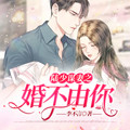 陆少谋妻之婚不由你