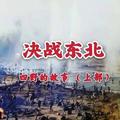 决战东北 东北解放纪实  四野的故事（上部）