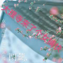 http://img2.sycdn.kuwo.cn/star/albumcover/240/92/12/1755627804.jpg